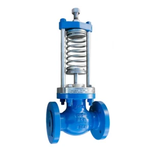 Sludge Relief Valve, Metal Seated